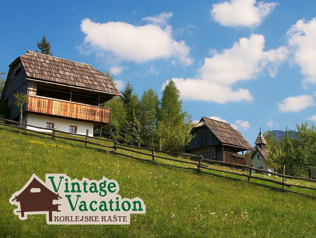 Domacija Koklej - Apartments Vintage Vacation Luče エクステリア 写真