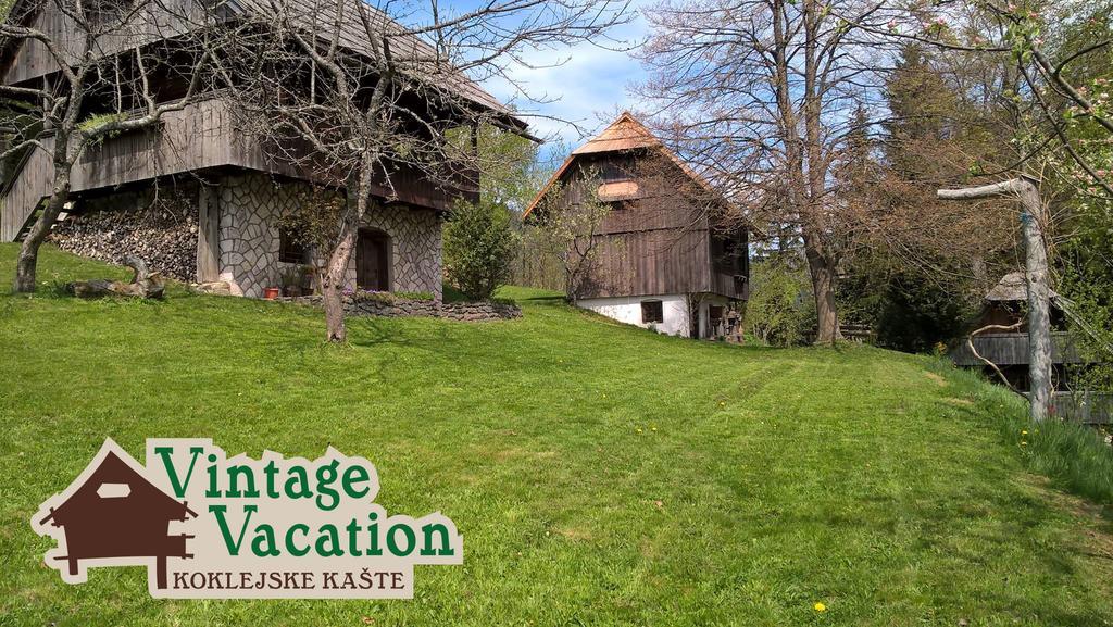 Domacija Koklej - Apartments Vintage Vacation Luče エクステリア 写真