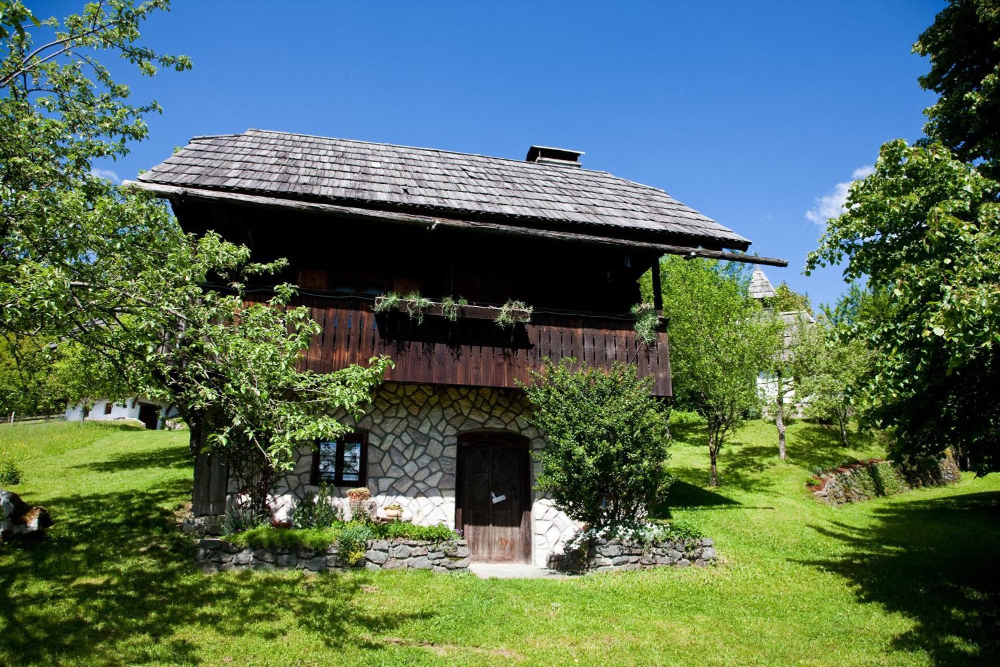 Domacija Koklej - Apartments Vintage Vacation Luče エクステリア 写真