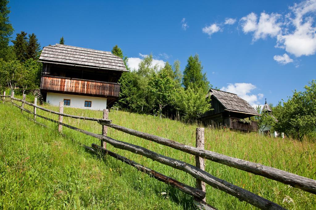 Domacija Koklej - Apartments Vintage Vacation Luče エクステリア 写真