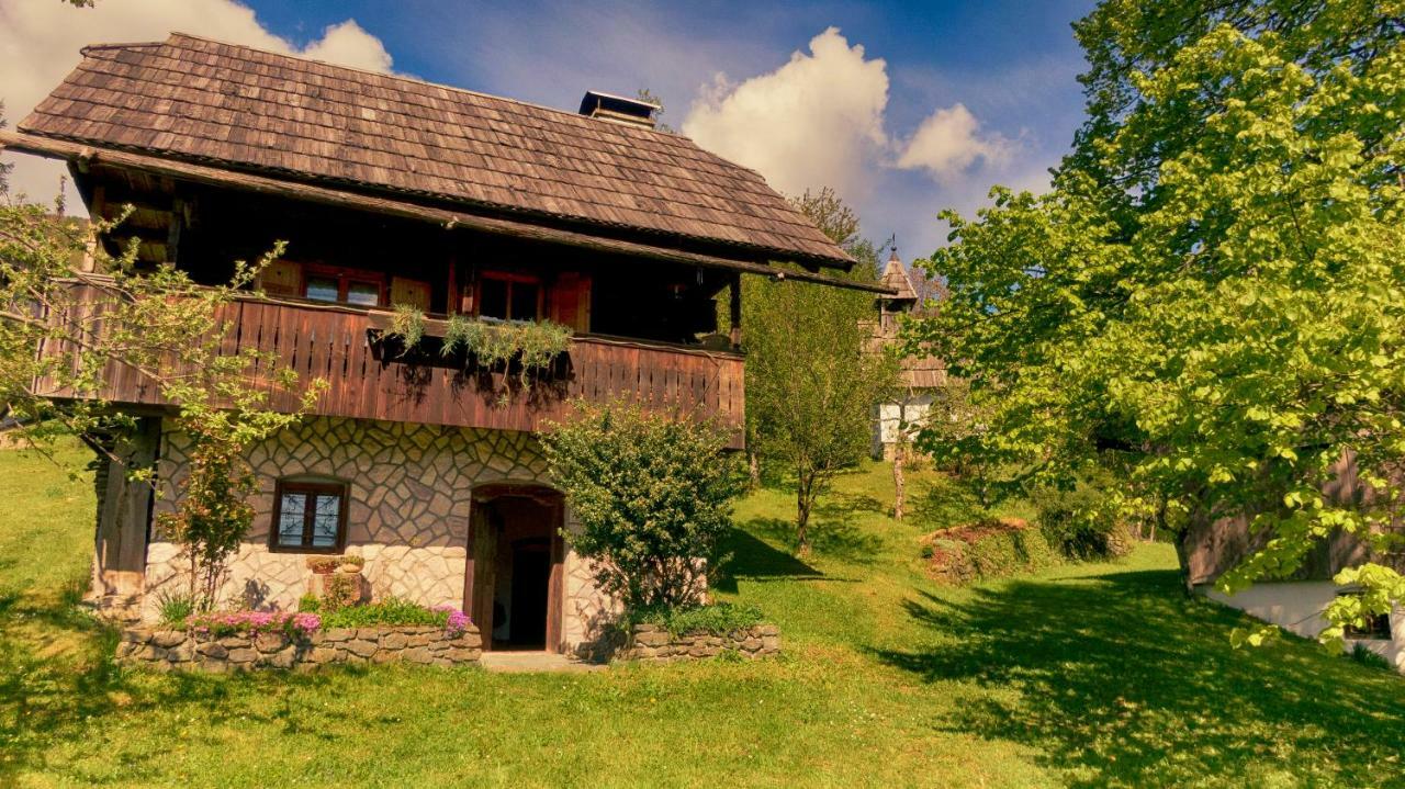 Domacija Koklej - Apartments Vintage Vacation Luče エクステリア 写真