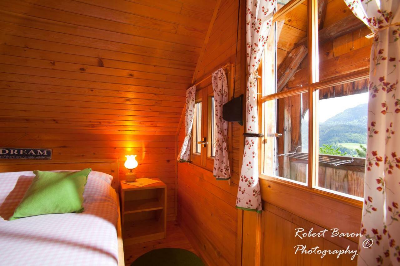 Domacija Koklej - Apartments Vintage Vacation Luče エクステリア 写真