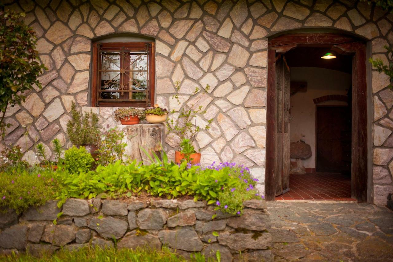 Domacija Koklej - Apartments Vintage Vacation Luče エクステリア 写真