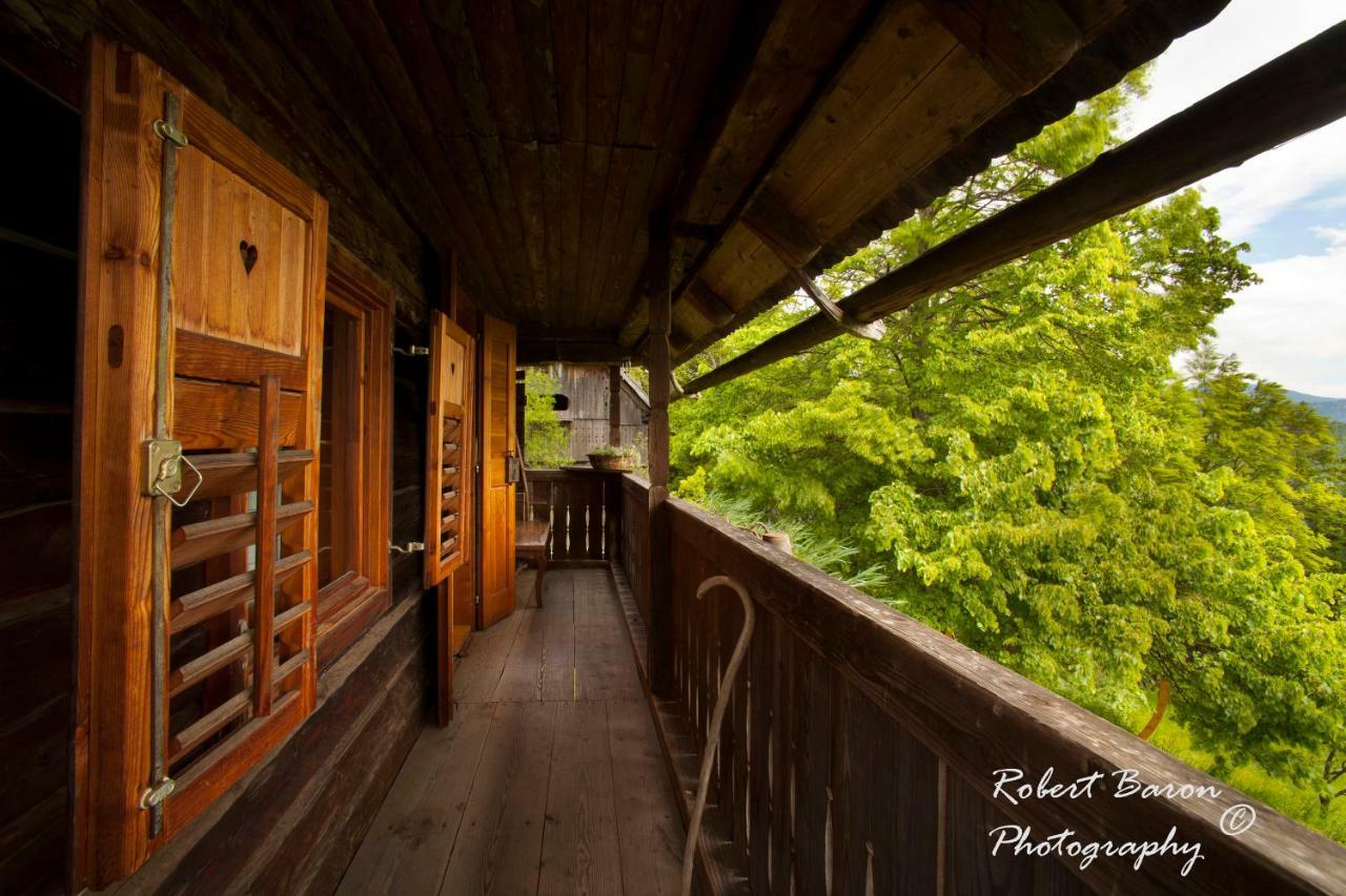 Domacija Koklej - Apartments Vintage Vacation Luče エクステリア 写真