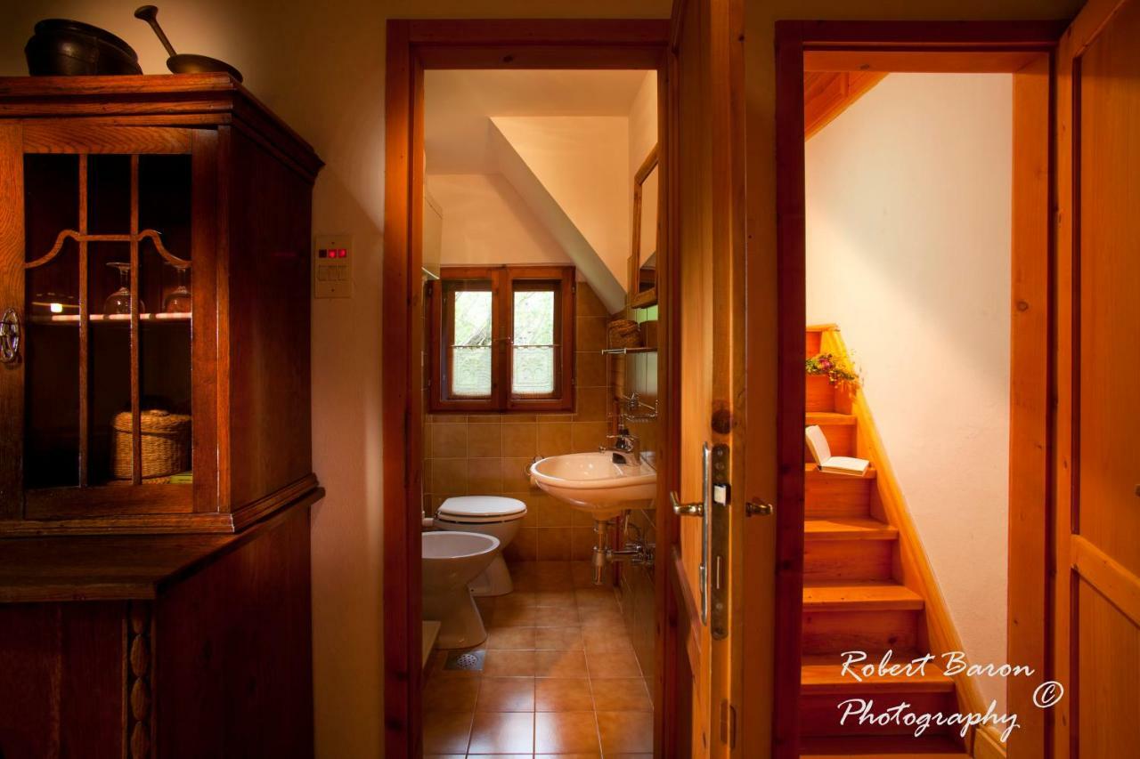 Domacija Koklej - Apartments Vintage Vacation Luče エクステリア 写真