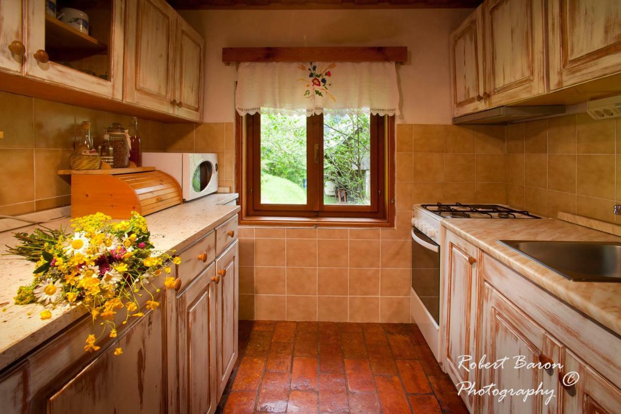 Domacija Koklej - Apartments Vintage Vacation Luče エクステリア 写真
