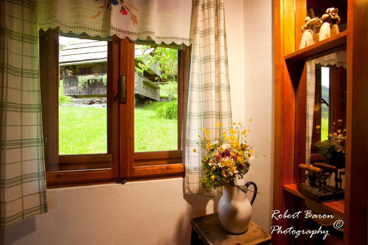 Domacija Koklej - Apartments Vintage Vacation Luče エクステリア 写真